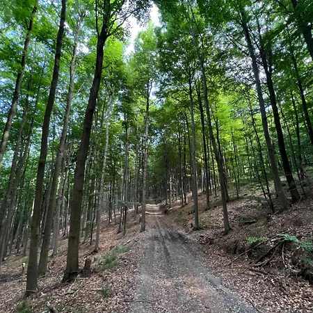 Oliver * 올스버그