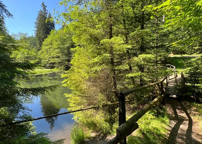 Appartement Oliver Olsberg